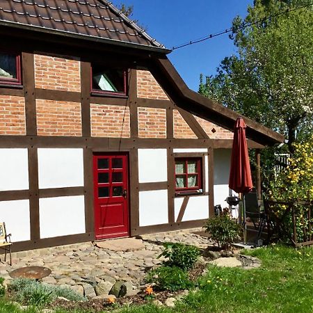 Villa Fachwerkhaus 4 Birken à Rumpshagen Extérieur photo